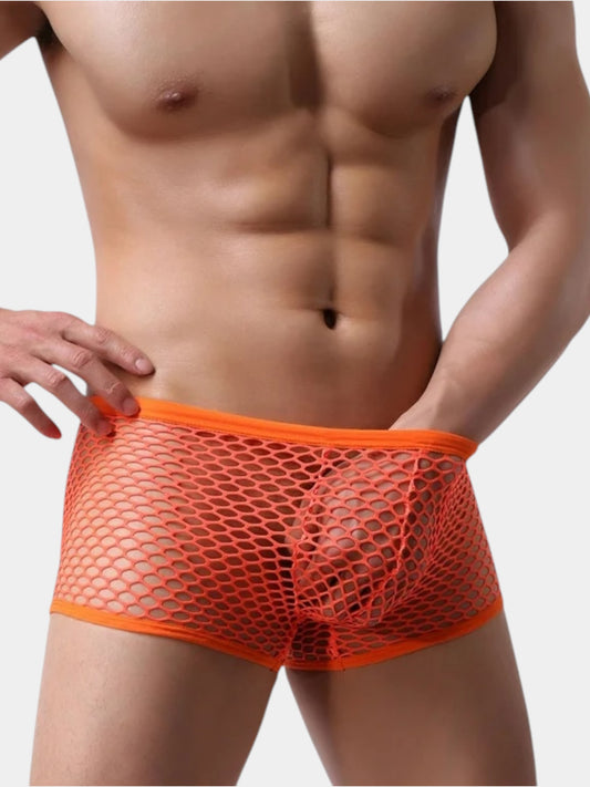 Show It Low-Rise Mesh Trunks