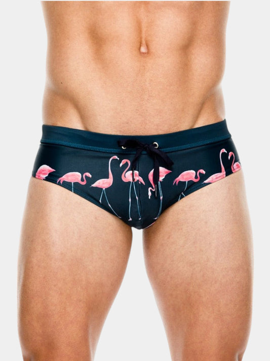 Flamingo Swim Briefs