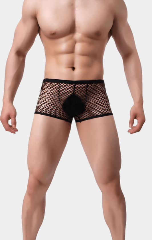 Show It Low-Rise Mesh Trunks