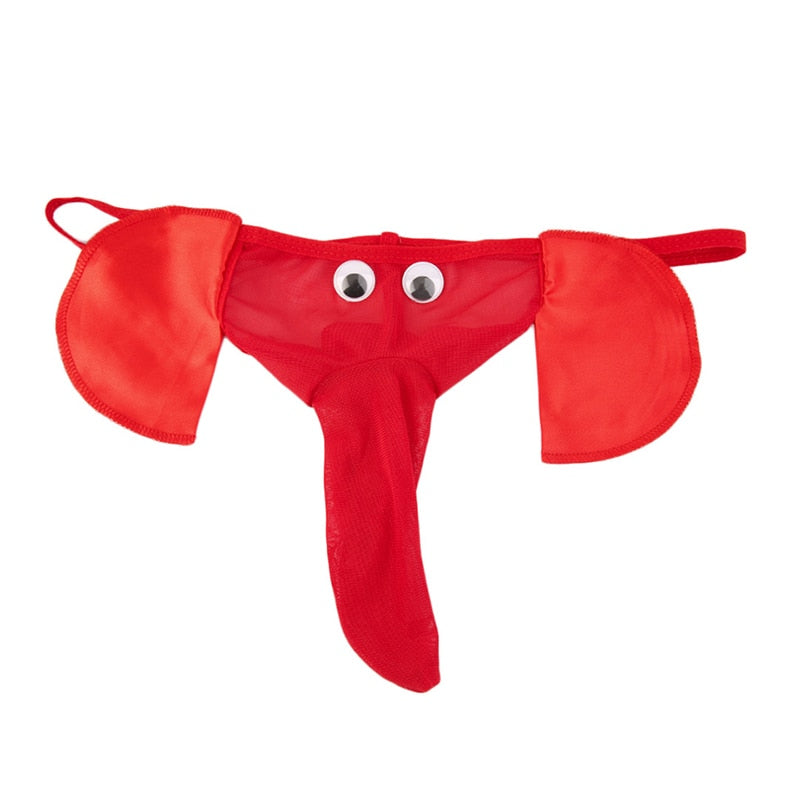 Swbreety Men's Elephant Nose Fun Thong Underpants Leopard Print Thong G- String : : Clothing, Shoes & Accessories